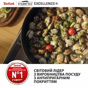 ���� �������� Ingenio Excellence+ P0009553