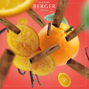 ������ ��� �������� Aromas Orange Cinnamon 200�� 6032