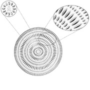 ����� ������� �������� Ethno 23�� 106160