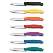 ͳ� ��� ������ ������ Swiss Classic Orange Paring 8�� Vx67609.C1