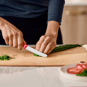 ͳ� ��� ������ Swiss Classic Red Tomato&Table 11�� Vx67831.C1