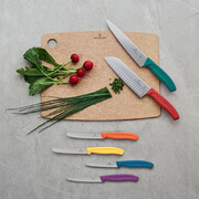 ����� ����� ��� ������� Swiss Classic Black Tomato&Table 11�� Vx67833.2