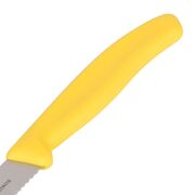 ���� ���� ��� ������ Swiss Classic Yellow Tomato&Table 11�� Vx67836.L118B