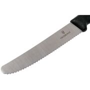 ͳ� ��� ������ Swiss Classic Pink Tomato&Table 11�� Vx67833