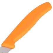 ��� ��� ������� Swiss Classic Orange Tomato&Table 11�� Vx67836.L119