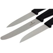 ����� ����� ��� ������ Swiss Classic Black Vx67113.3G
