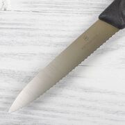 ͳ� ��� ������ Swiss Classic Black Paring 10�� Vx67733
