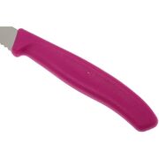 ��� ��� ������ Swiss Classic Pink Paring 8�� Vx67636.L115