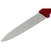 ͳ� ��� ������ ������ Swiss Classic Red Paring 8�� Vx67601