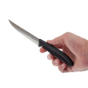 ��� ��� ������ Swiss Classic Black Steak&Pizza 12�� Vx67933