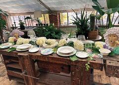 ����� ������� Flora 36�26�� 51187