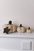 ������������ ����� Mini Happy Fall �������� 9�� 4823093472488