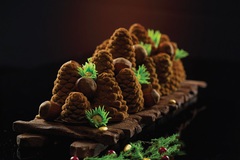 ����� ��� ������ ˳� �� ������ Tortaflex 6�� Foresta110