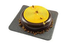 ����� ��� ������� ��������� Tortaflex 18�� Universo1200