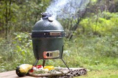 ����� ����� Big Green Egg Mini SHOE