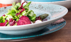 ������� �������� Life style ���� NATURAL 26��