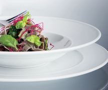 ������� ��� ����� Excellency 28�� EXL1927