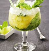 ����� ��� ��������� Gusto 430�� 2924/43