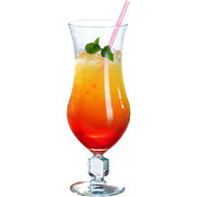 ����� ��� ��������� Echanson 510�� 0919/51