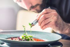 ������� ��������� Life style ���� RAINFOREST 26�� LSR2126