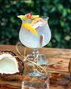 ����� ��� �������� Gin&Tonic  1924  620�� 502008