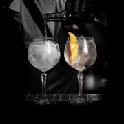 ����� ��� �������� Gin&Tonic  SPKSY  580�� 602104