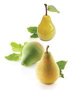 ����� ��� ������� 115�� PERA & FICO 115