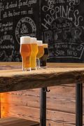 ����� ��� ���� BEER BASIC 365�� 120711