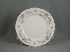 ����� ������� Bernadotte ����� ���� 6/18