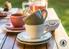 ���� ������ ����� �� �������� ������� �� ���� 200�� 65017758