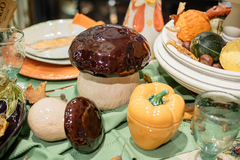 ������� ��� ��������� ���� 13�� 65018631