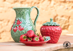 ������� ��� ��������� �������� 450�� 65006992