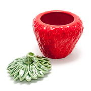 ������� ��� ��������� �������� 450�� 65006992