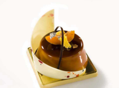 ����� ��� ������ SiliconFlex "����������" SF016/C