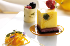 ����� ��� ������� SiliconFlex  ���  SF104/C