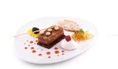 ����� ��� ������� SiliconFlex SF110/C