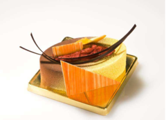 ����� ��� ������� SiliconFlex SF111/C