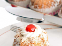 ����� ��� �������� SiliconFlex SF058/C