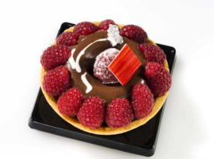 ����� ��� �������� SiliconFlex SF011/C