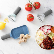 ���� ����� LEO 3950295