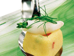 ����� ��� ������ SiliconFlex SF081/C