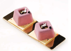 ����� ��� ������ SiliconFlex SF081/C