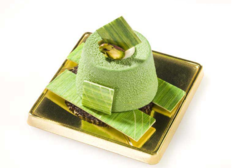 ����� ��� �������� SiliconFlex SF023/C