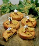 ����� ��� ������ SiliconFlex SF042/C