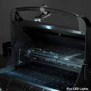 ˳������ ��� ������� ������������� 50937