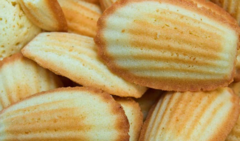 ����� ��� ������ SiliconFlex "��������� ��������" SF031/C