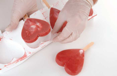 ����� ���� ��� ���������� ������ La Gelateria 9,1�� GEL03