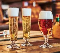 ���� ������� ��� ���� Dortmund 230�� 0979/23