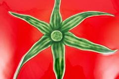 ����� ��� ��� ����� 30�� 65022230