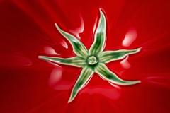 ����� ����� 16�� 65022238